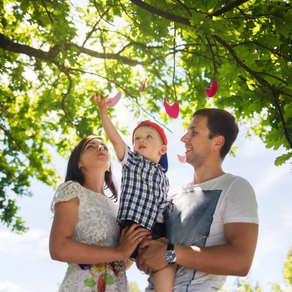 Koje je najbolje drvo za dvori&scaron;te? Ovo su izbori s kojima ne možete pogrije&scaron;iti