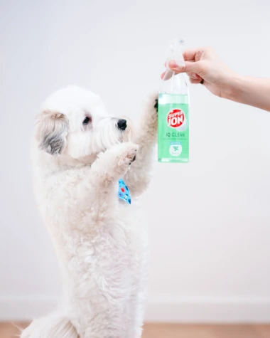 Tjedan dana sam čistila bez &lsquo;te&scaron;ke kemije&rsquo;, evo &scaron;to se dogodilo