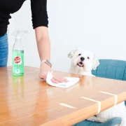 Tjedan dana sam čistila bez &lsquo;te&scaron;ke kemije&rsquo;, evo &scaron;to se dogodilo