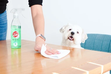 Tjedan dana sam čistila bez &lsquo;te&scaron;ke kemije&rsquo;, evo &scaron;to se dogodilo