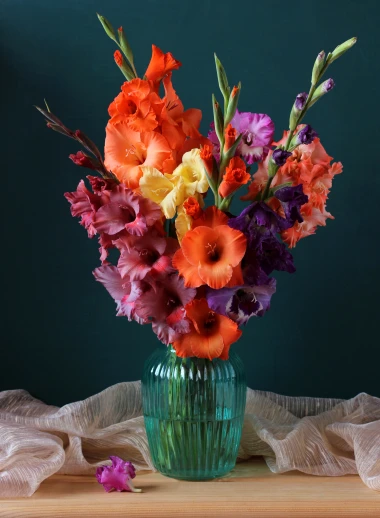 Vodič za uzgoj gladiola: Sve &scaron;to trebate znati za rasko&scaron;ne cvjetove u vrtu i teglama