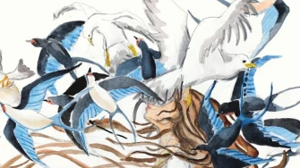 Predstavljanje slikovnice 'Da bi vidio kakva je kuća' Jasmine Kosanović