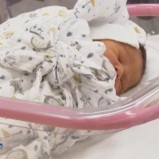 Sigurniji put za najmanje borce: U OB Nova Gradi&scaron;ka stigao novi transportni inkubator