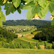 Kamo za Prvi maj ako vam se ne kuha? Ova mjesta nude odličnu hranu