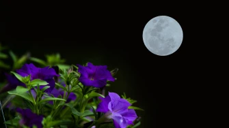 Svibanj 2026. donosi 2 puna Mjeseca: Ova astrolo&scaron;ka pojava utjecat će na svaki znak