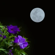 Svibanj 2026. donosi 2 puna Mjeseca: Ova astrolo&scaron;ka pojava utjecat će na svaki znak