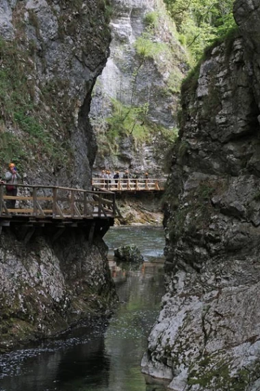 Jeste li se kad sanjkali ljeti? Osim prekrasne prirode, Bled nudi aktivnosti za cijelu obitelj