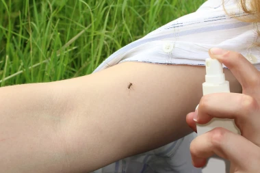 Kako se rije&scaron;iti komaraca? Evo &scaron;to stvarno djeluje, a na &scaron;to ne treba bacati novac