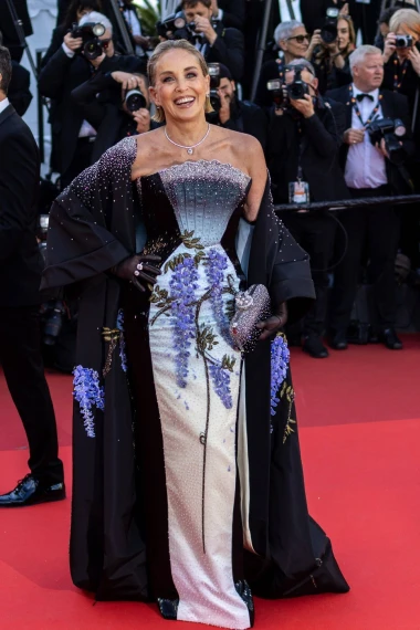 Sharon Stone zaobi&scaron;la modno pravilo Cannesa i za crveni tepih odjenula ovu rasko&scaron;