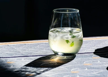Najbolji domaći sok od bazge: Recept za mirisno ljetno osvježenje