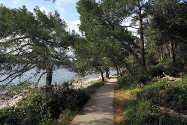 Ovaj hrvatski otok krije tajnu vitalnosti staru vi&scaron;e od 140 godina