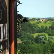 Skriveni dragulj blizu Zagreba: Slovenski Jeruzalem, regija vina, dvoraca i nestvarnih pogleda