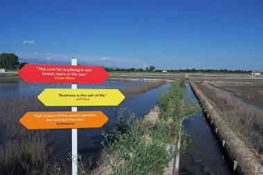 Od kraljeva do Kraljičine plaže: Znate li za&scaron;to svi putevi ovog ljeta vode u Nin?