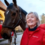 Konjički spektakl i bogat popratni sadržaj uz besplatan ulaz za sve
