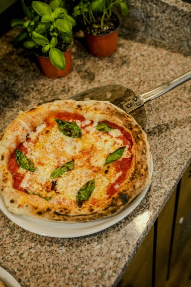 Ciao! Pizza &amp; Pasta: Sve popularnija gastro adresa zapadnog Zagreba za druženja i proslave