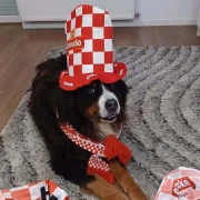 Nju&scaron;e pobjedu: Ljubimci na&scaron;ih čitateljica jedva čekaju utakmicu Panama - Hrvatska