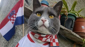 Nju&scaron;e pobjedu: Ljubimci na&scaron;ih čitateljica jedva čekaju utakmicu Panama - Hrvatska