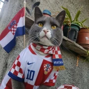 Nju&scaron;e pobjedu: Ljubimci na&scaron;ih čitateljica jedva čekaju utakmicu Panama - Hrvatska