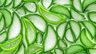Aloe vera: Takozvana 'biljka besmrtnosti' bit će vam najbolji prijatelj tijekom ljeta