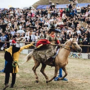 Vi&scaron;e od 50 tisuća posjetitelja i vi&scaron;e od 1.300 sudionika: Renesansni festival potvrdio status vodećeg turističkog aduta Koprivnice