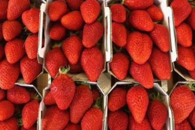 Omiljene crvene bobice ponovno nam uljepšavaju dane, a uz ove recepte možeš ih kušati na posve novi način