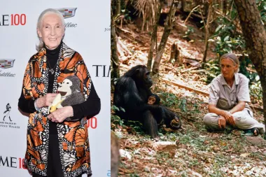 Jane Goodall: 60 godina aktivizma, istraživanja i inspiracije