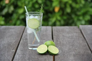 Obožavaš gin tonik? Isprobaj i ove voćne verzije tog alkoholnog pića